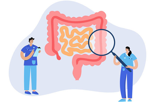 illustration of intestines flanked by two figures in medical scrubs, the one on the left is holding a clipboard and the one on the right is holding a magnifying glass and holding it over the colon